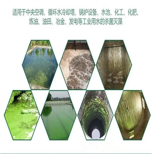 TS 808 循環(huán)水殺菌滅藻劑