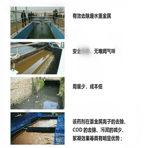 TS 830 重金屬離子捕捉劑